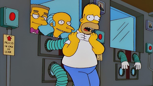 Homer perd la boule streaming vf