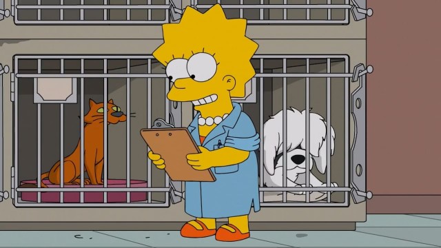 Lisa vétérinaire streaming vf