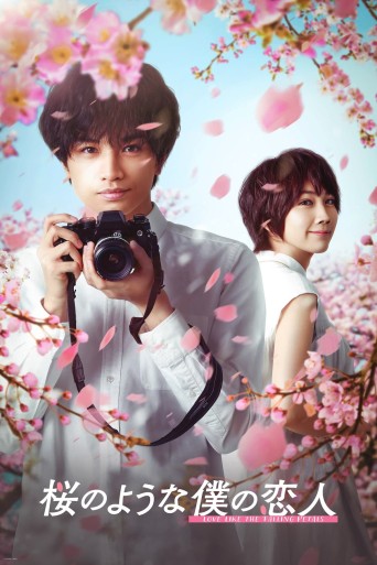 Love Like the Falling Petals poster