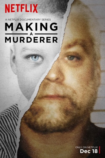 Making a Murderer streaming vf