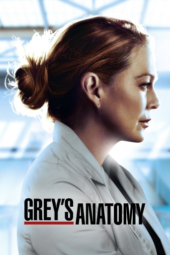 Grey's Anatomy streaming vf