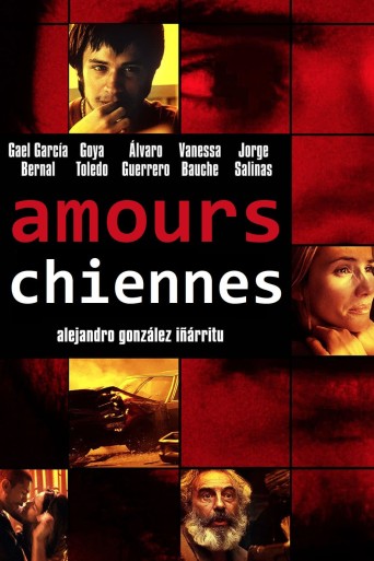 Amours chiennes poster