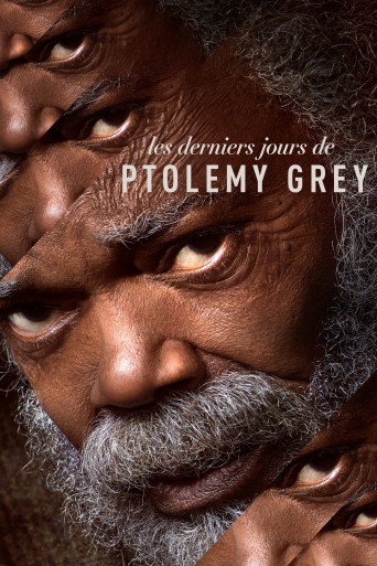 The Last Days of Ptolemy Grey streaming vf