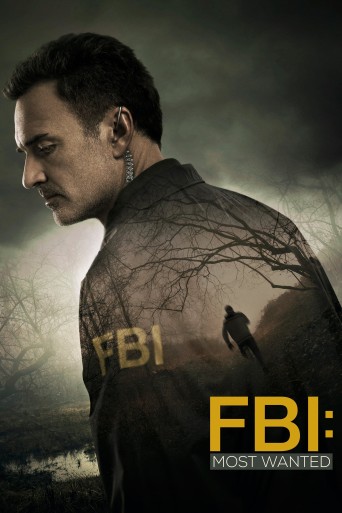 FBI: Most Wanted streaming vf